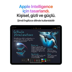 iPad Air M3 512GB WIFI 13''Liquid Retina Ekran iPadOS Tablet Space Grey MCNT4TU/A