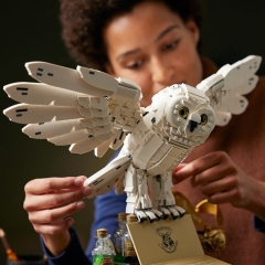 LEGO Harry Potter™ Hogwarts™ Simgeleri - Koleksiyoncu Seti 76391